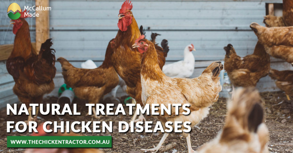 Home naturaltreatmentsforchickendiseasesthechickentractor