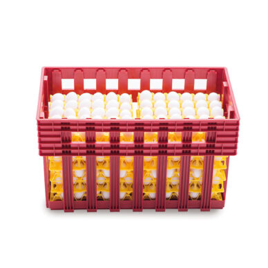 Plastic Stackable Egg Box