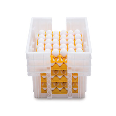 Plastic Stackable Egg Box white