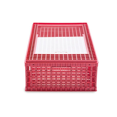 Poultry crate transport Large